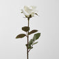Long Stem Rose White 12 pcs