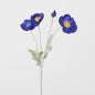 Poppy Spray Dark Blue 12 pcs
