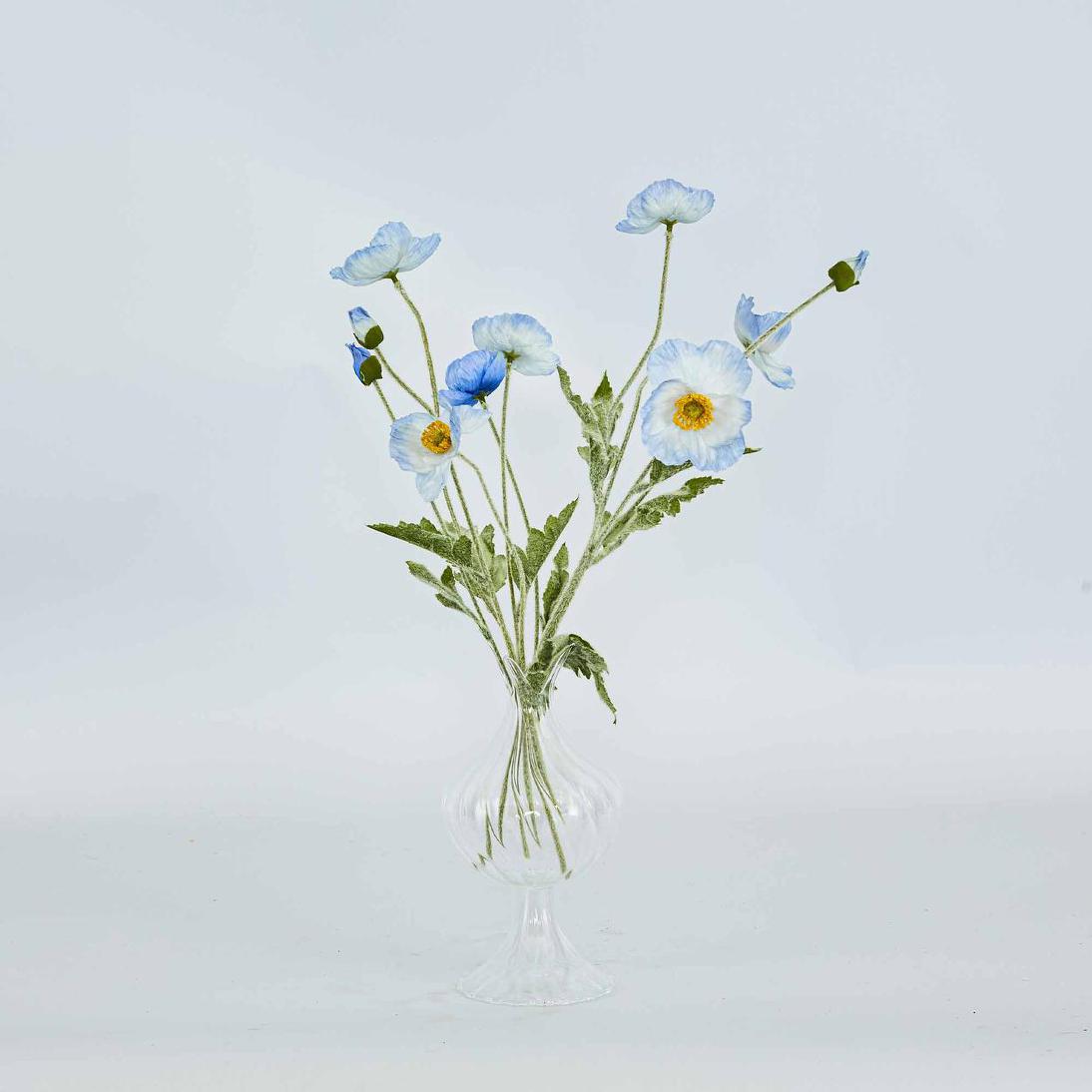 Poppy Spray Light Blue 12 pcs