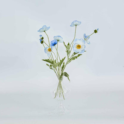 Poppy Spray Light Blue 12 pcs