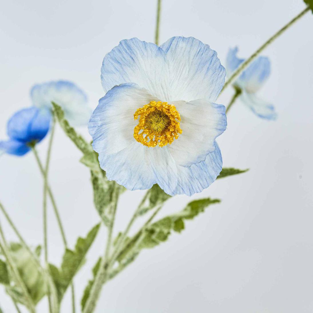 Poppy Spray Light Blue 12 pcs