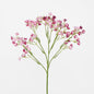 Baby's Breath Stem Burgundy 18 pcs