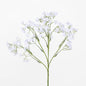 Baby's Breath Stem White 18 pcs