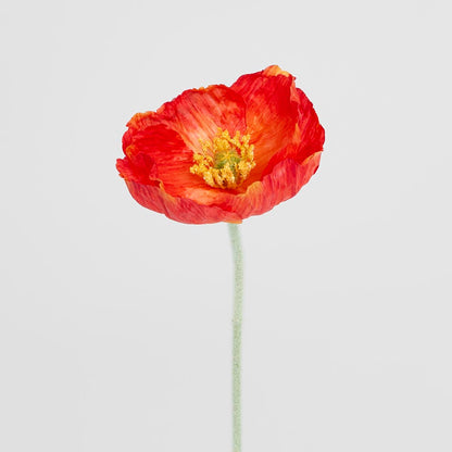 Poppy Stem Red 12 pcs