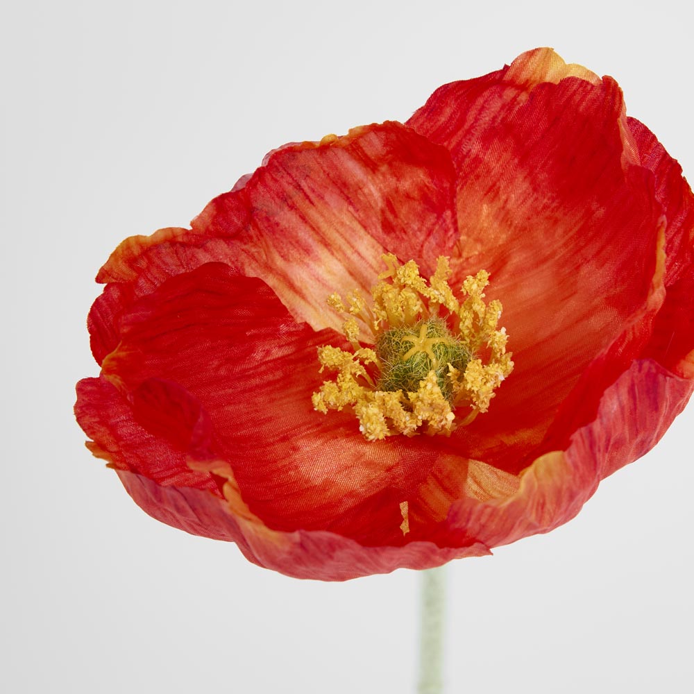 Poppy Stem Red 12 pcs