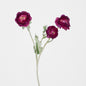 Ranunculus Stem With 3 Heads Magenta 12 pcs