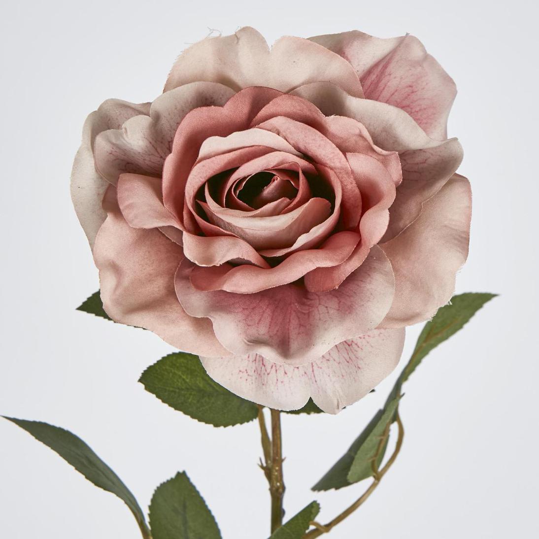Rose Stem Dusty Pink 12 pcs