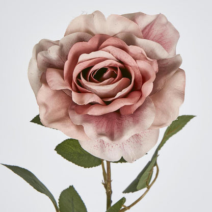 Rose Stem Dusty Pink 12 pcs