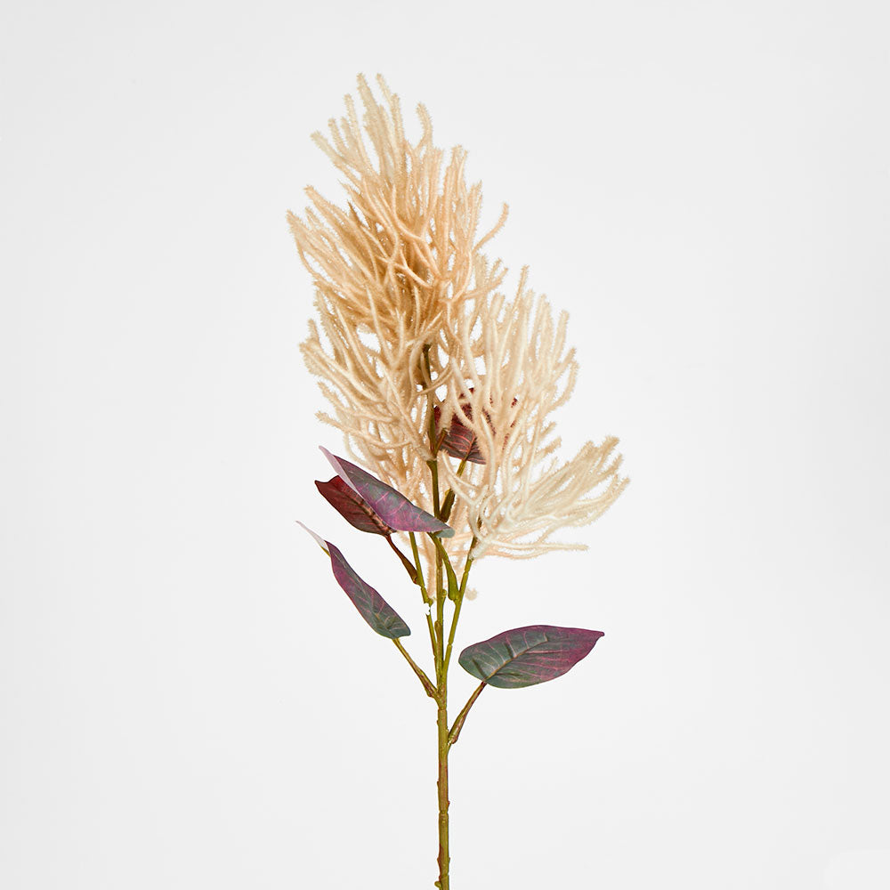 Smoke Bush Beige 3 pcs