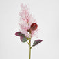 Smoke Bush Pink 3 pcs