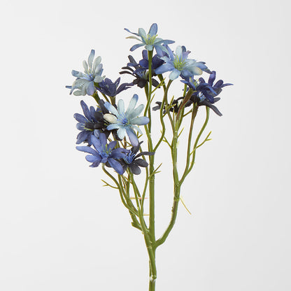 Sea Aster Blue 12 pcs