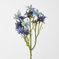 Sea Aster Blue 12 pcs