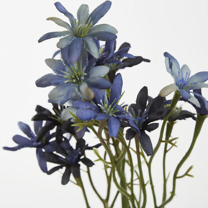 Sea Aster Blue 12 pcs