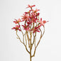 Sea Aster Pink 12 pcs