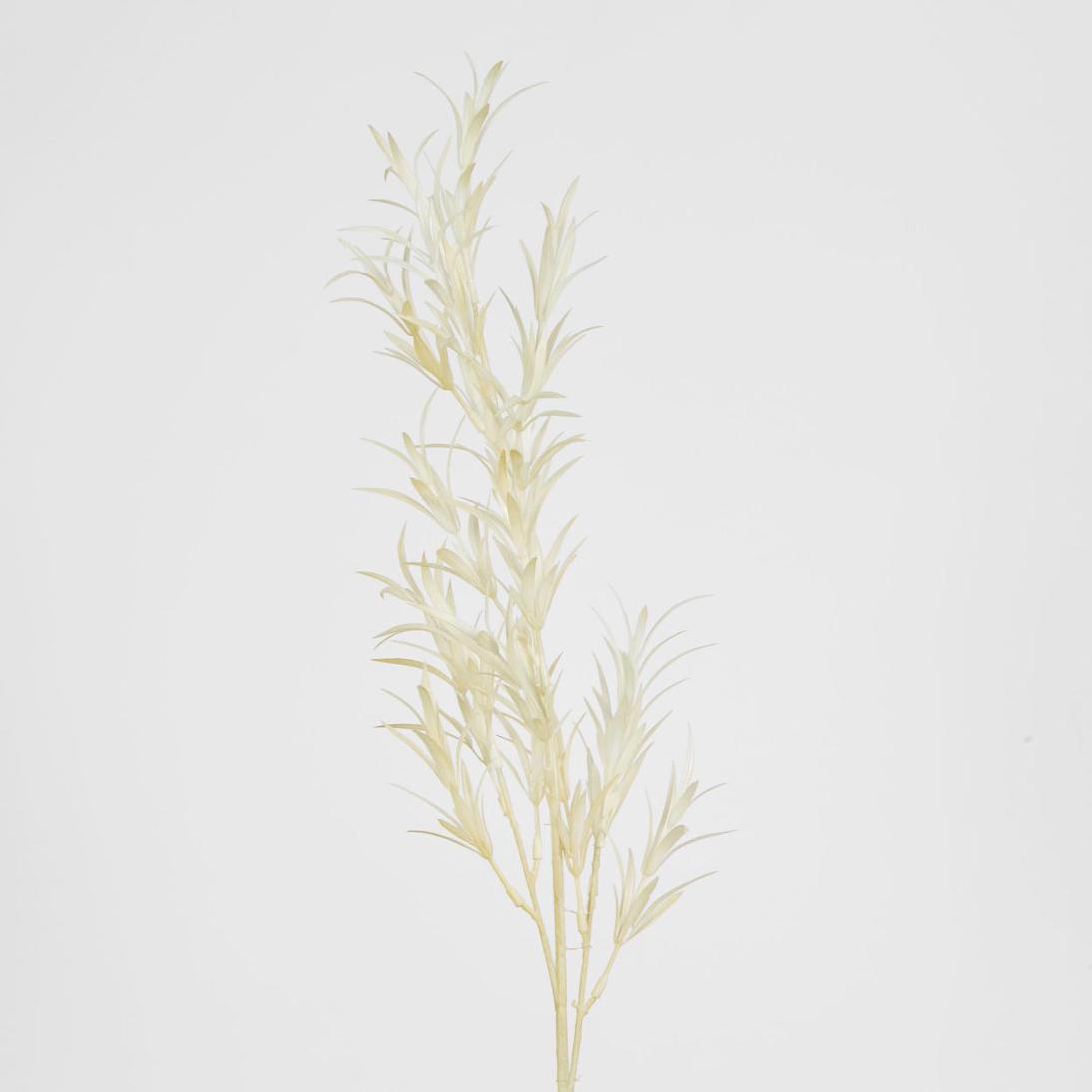 Podocarpus Grass Spray Beige 18 pcs