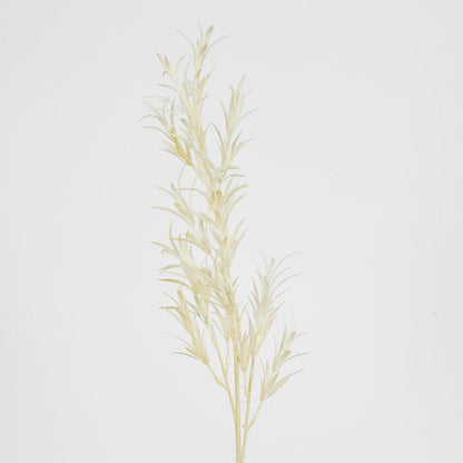 Podocarpus Grass Spray Beige 18 pcs