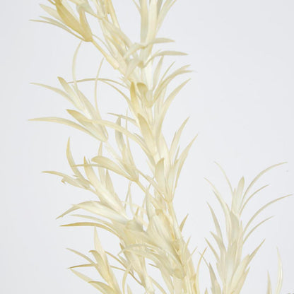 Podocarpus Grass Spray Beige 18 pcs
