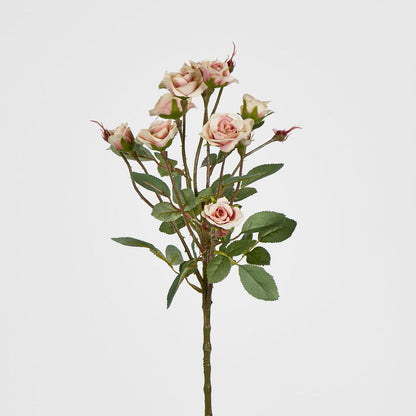 Rose Spray x 10 Heads Peach 12 pcs