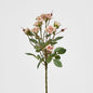 Rose Spray x 10 Heads Peach 12 pcs