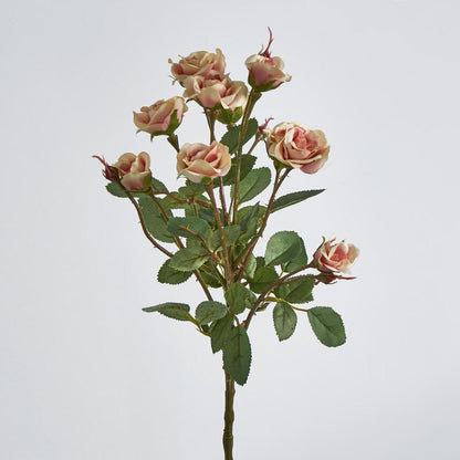 Rose Spray x 10 Heads Peach 12 pcs