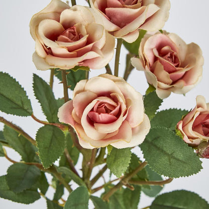 Rose Spray x 10 Heads Peach 12 pcs