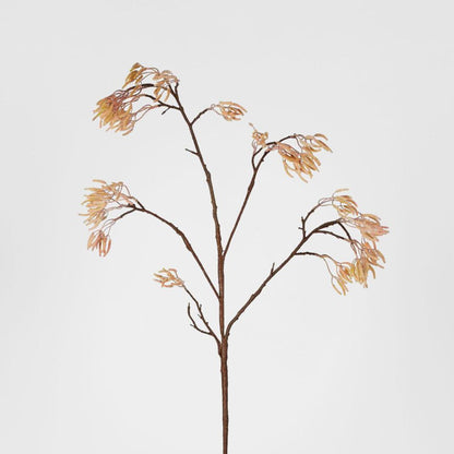 Kangaroo Paw Branch 125cm Apricot 6 pcs