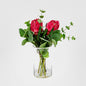Red Protea in Toby Vase Sml