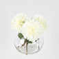 White Dahlia Delight Arrangement