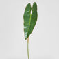 Philodendron Spiritus Sancti Leaf 81cm