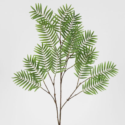 Chamedorea Leaf Spray 160cm Green