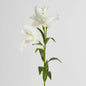 Lily Real Touch 90cm White