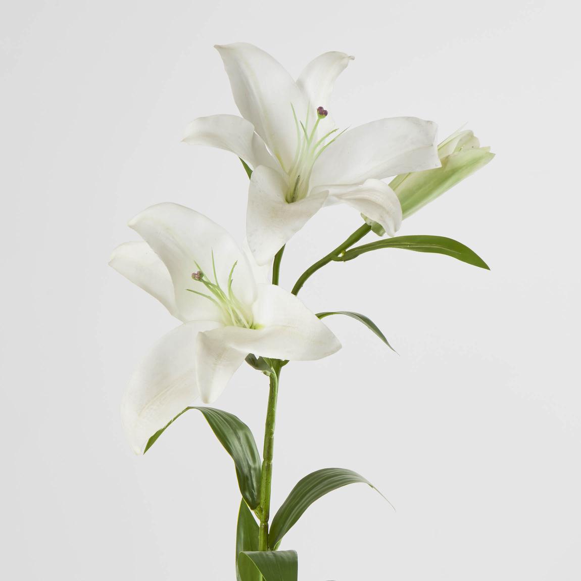 Lily Real Touch 90cm White