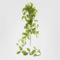 Leaf Garland Hanging 1.6m