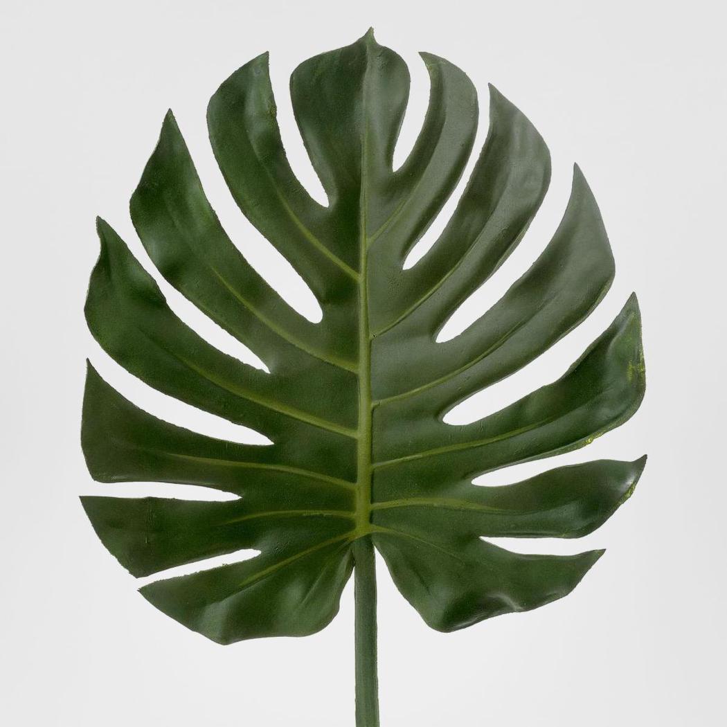 Leaf Philo 1.04m