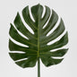 Leaf Philo 1.04m