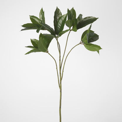 Frangipani Leaf Spray 84cm 6 pcs