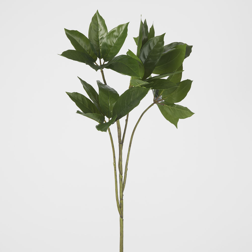 Frangipani Leaf Spray 84cm 6 pcs