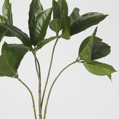 Frangipani Leaf Spray 84cm 6 pcs