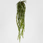 Pencil Leaf Hanging Vine
