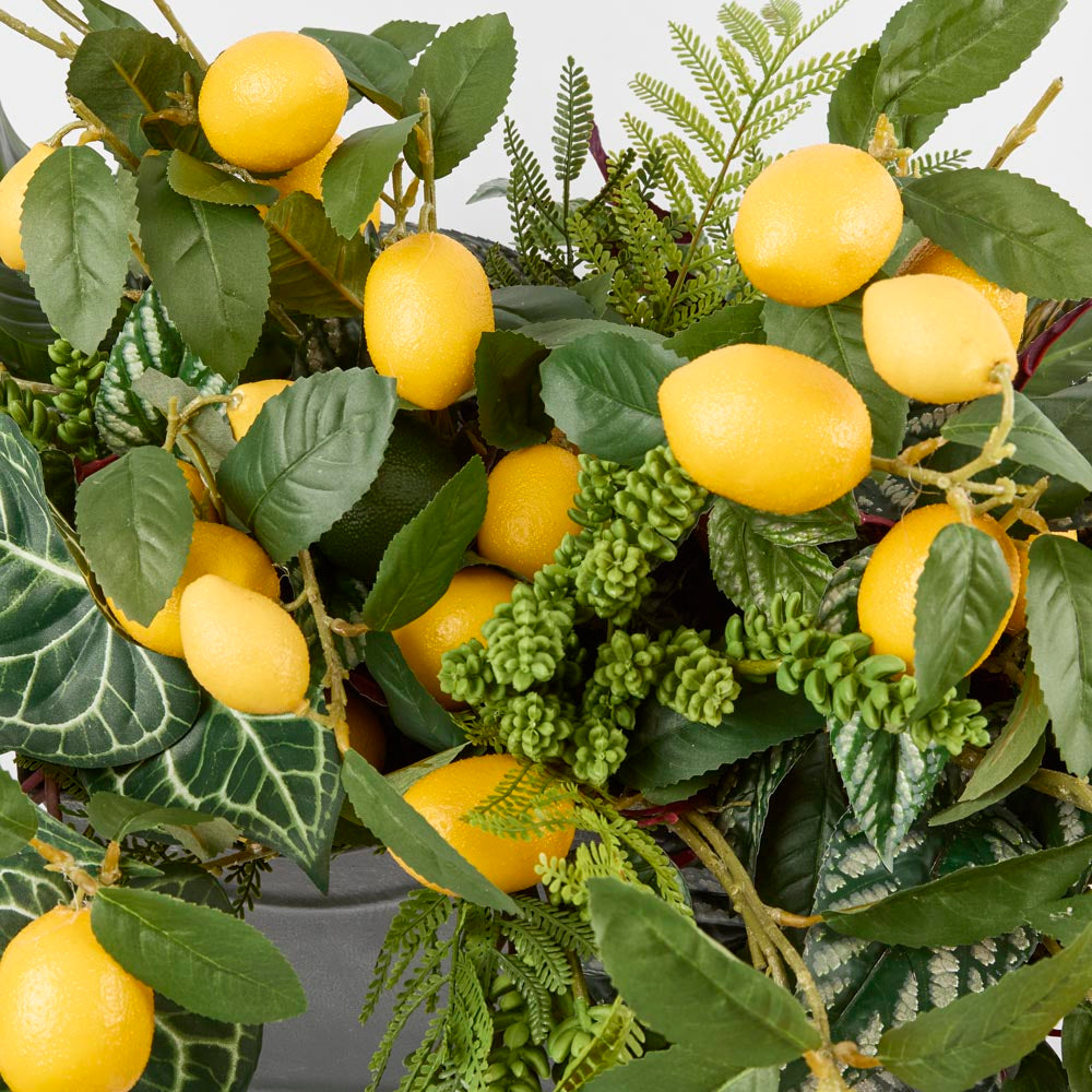 Lemon Stem With Fruits 98cm