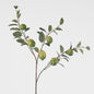 Lime Branch Spray x 6 Limes with Leaves