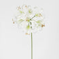 Nerine Lily Stem 61cm White