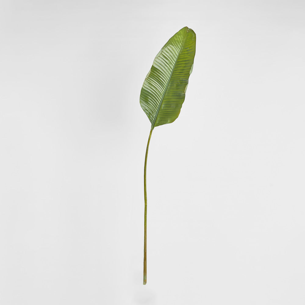 Banana Leaf 1.7m Green