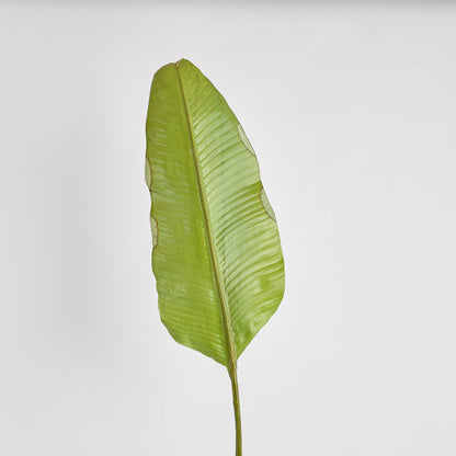 Banana Leaf 1.7m Green