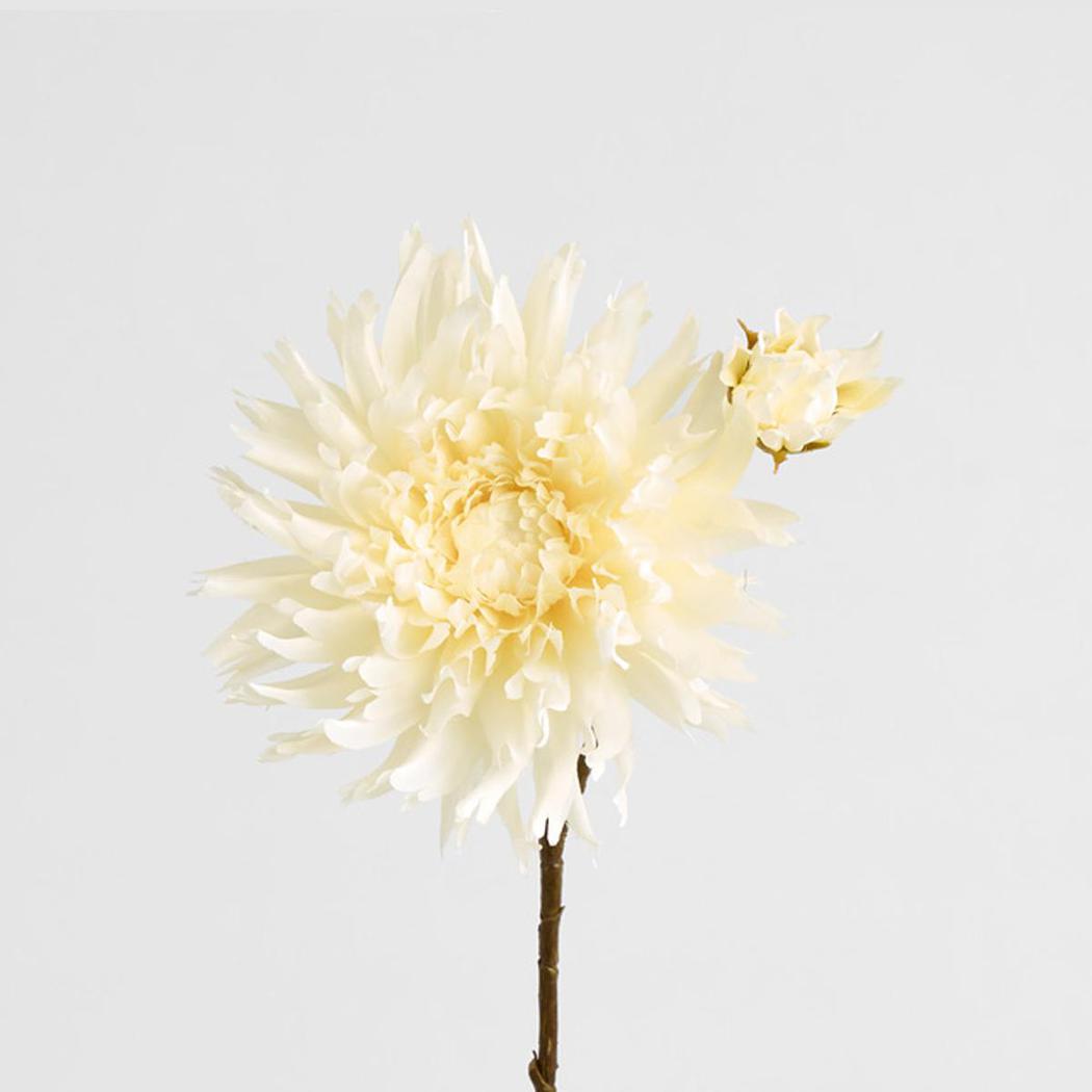 Mum Spray 78cm Cream 6 pcs
