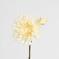 Mum Spray 78cm Cream 6 pcs