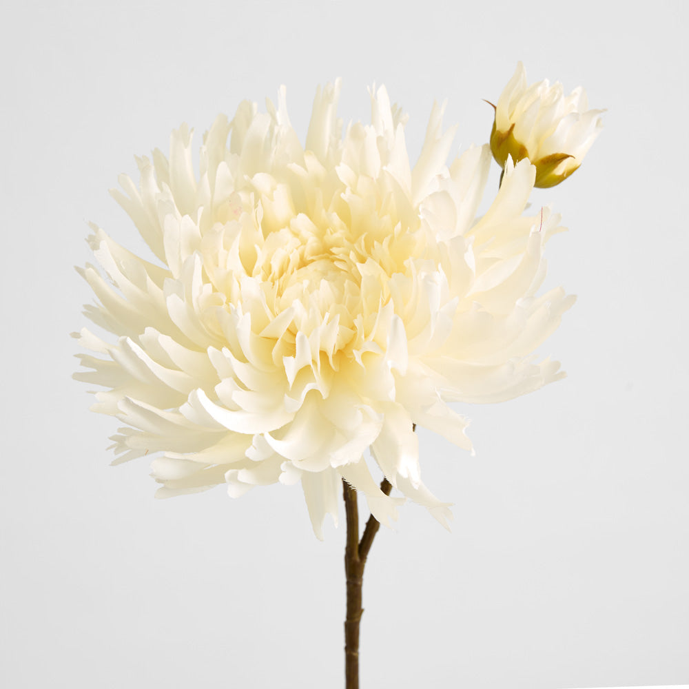 Mum Spray 78cm Cream 6 pcs