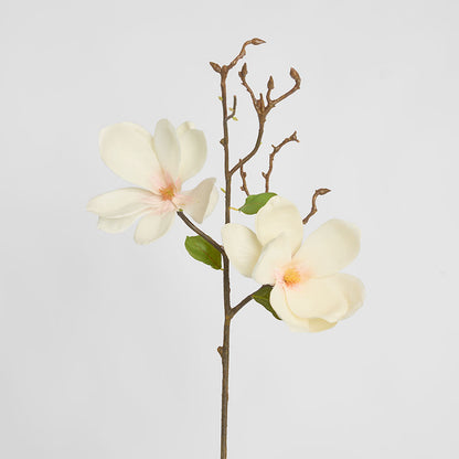 Magnolia Stem 70cm White
