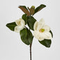 Double Head Magnolia With Bud