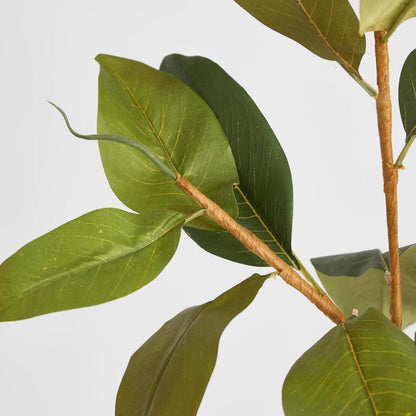 Autumn Magnolia Leaf Spray Stem 70cm 6 pcs